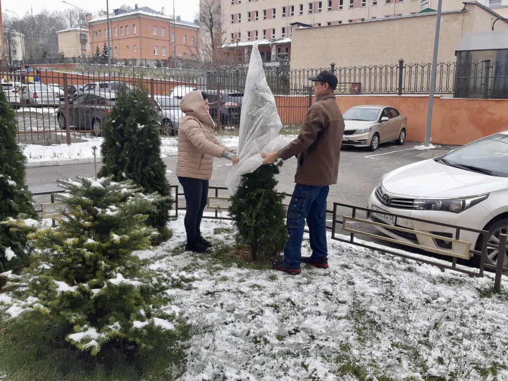 image-08-12-22-12-44-3.jpeg image-08-12-22-12-44-3.jpeg