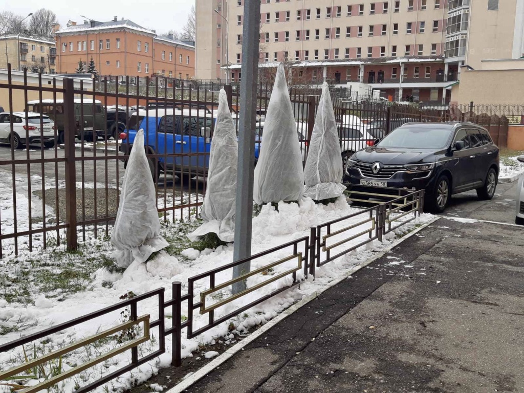 image-08-12-22-12-44-1.jpeg image-08-12-22-12-44-1.jpeg