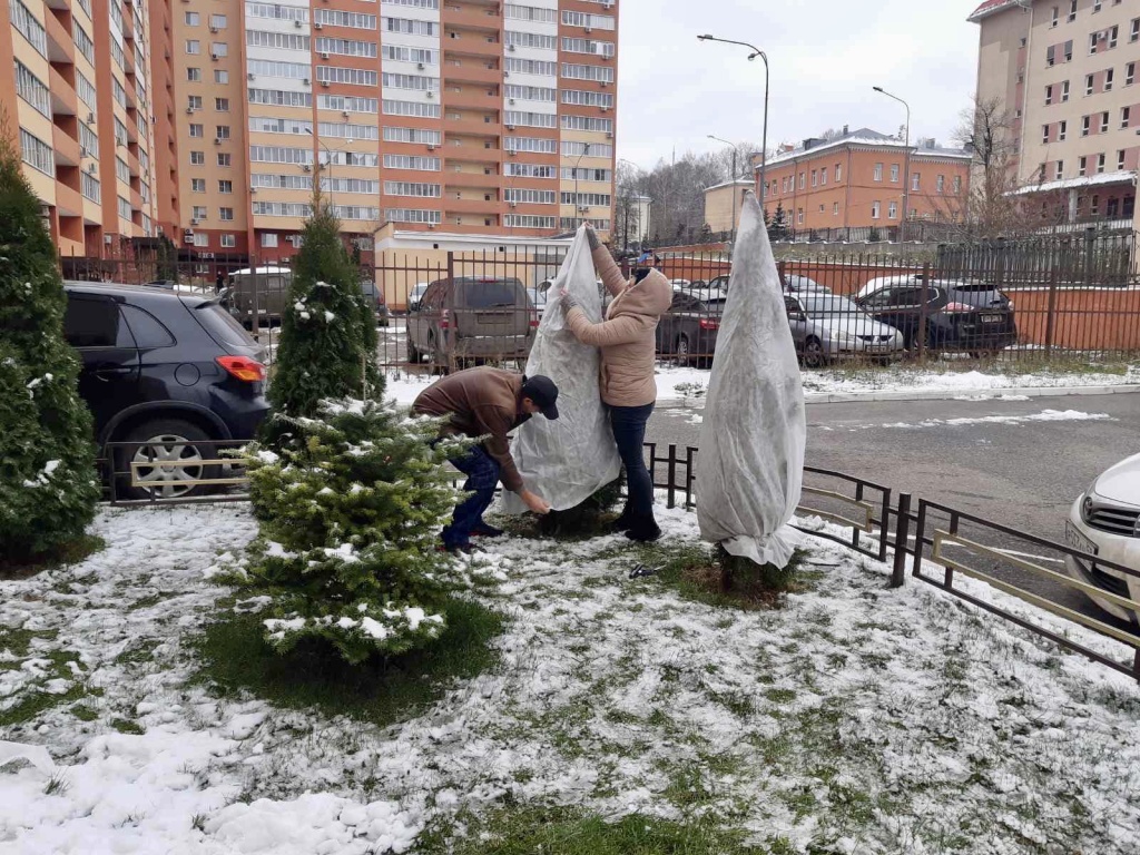 image-08-12-22-12-44-2.jpeg image-08-12-22-12-44-2.jpeg