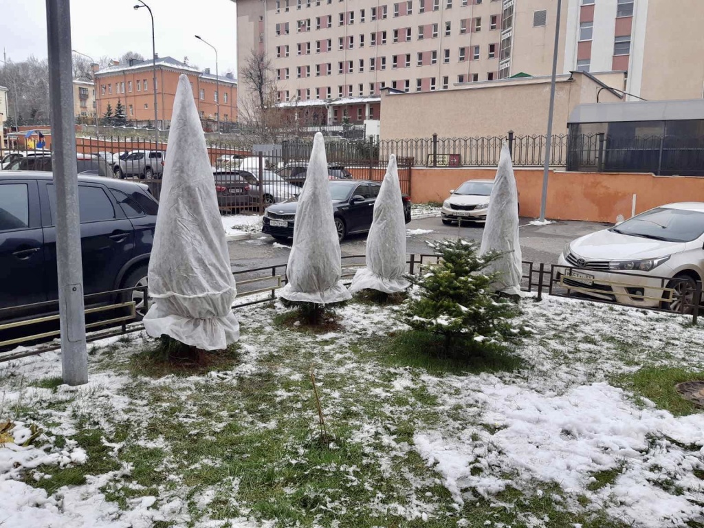 image-08-12-22-12-44.jpeg image-08-12-22-12-44.jpeg