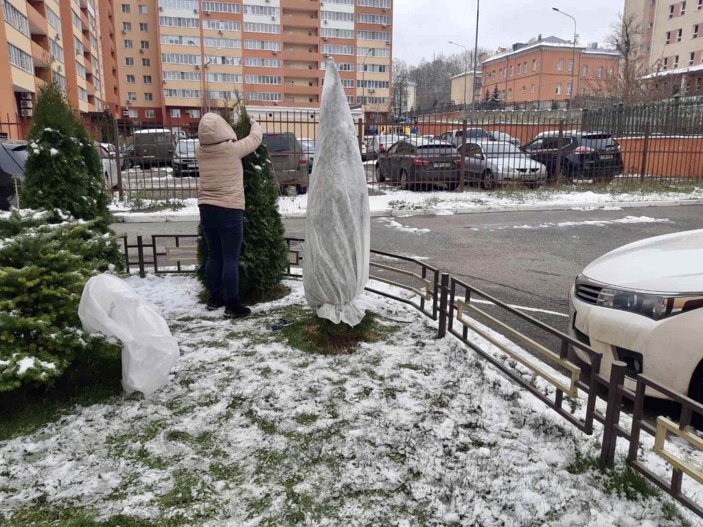 image-08-12-22-12-44-4.jpeg image-08-12-22-12-44-4.jpeg